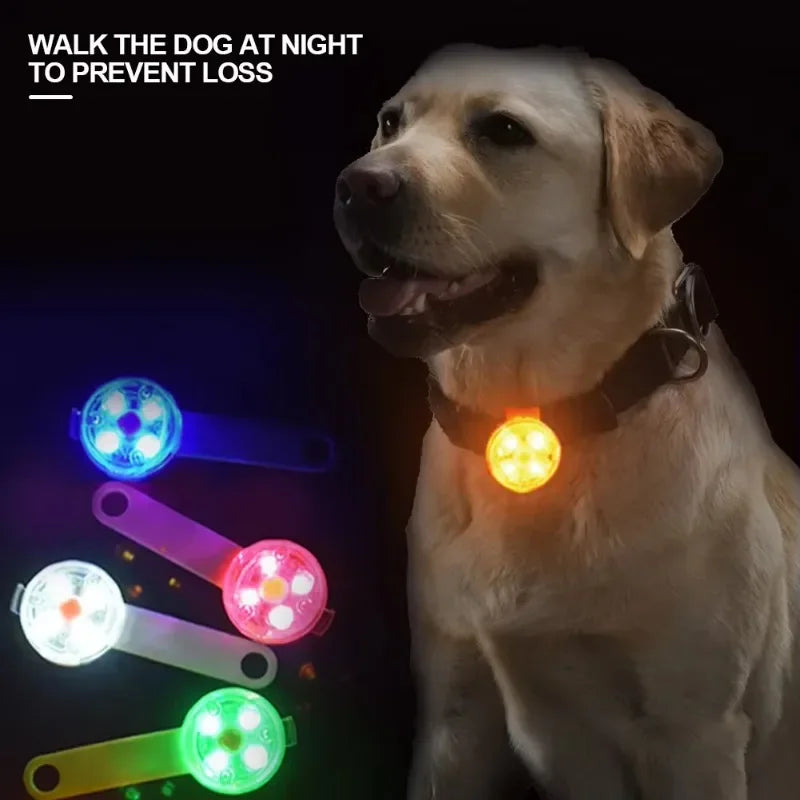Weatherproof LED Pet Safety Collar