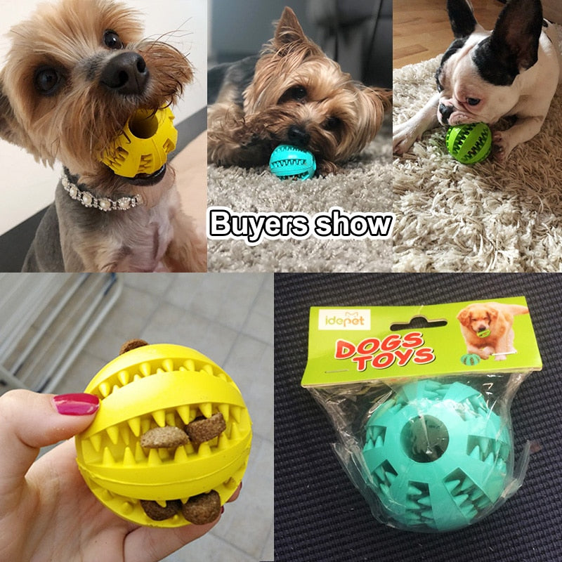 Chew Dog Ball