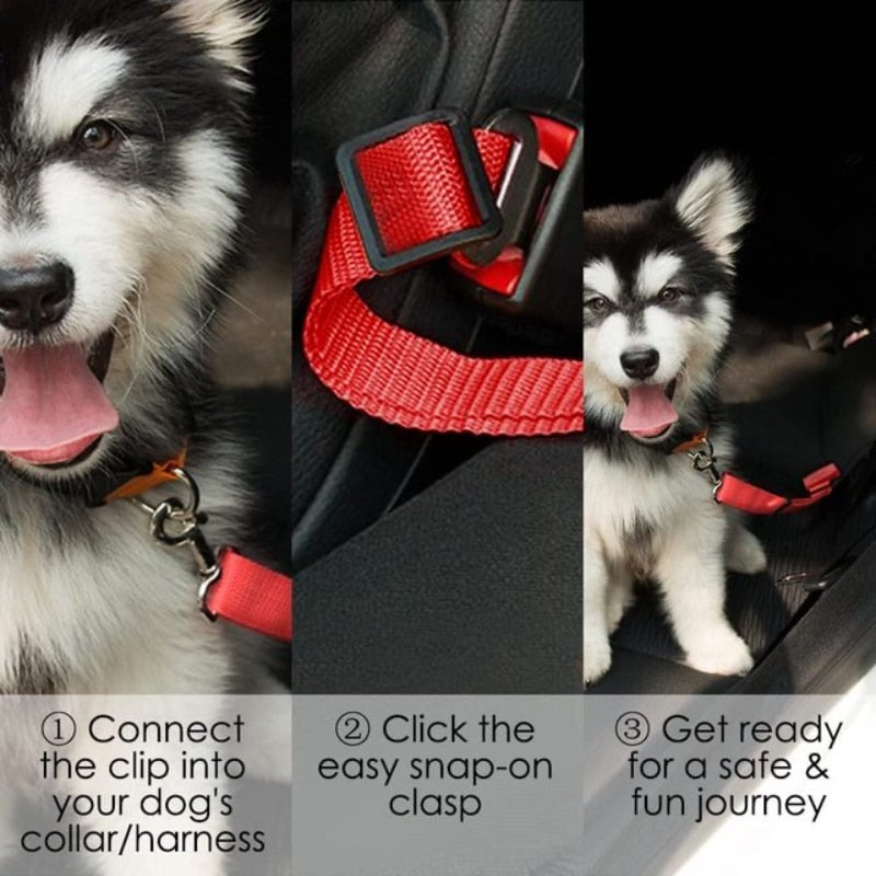 Dog Car Safety Belt
