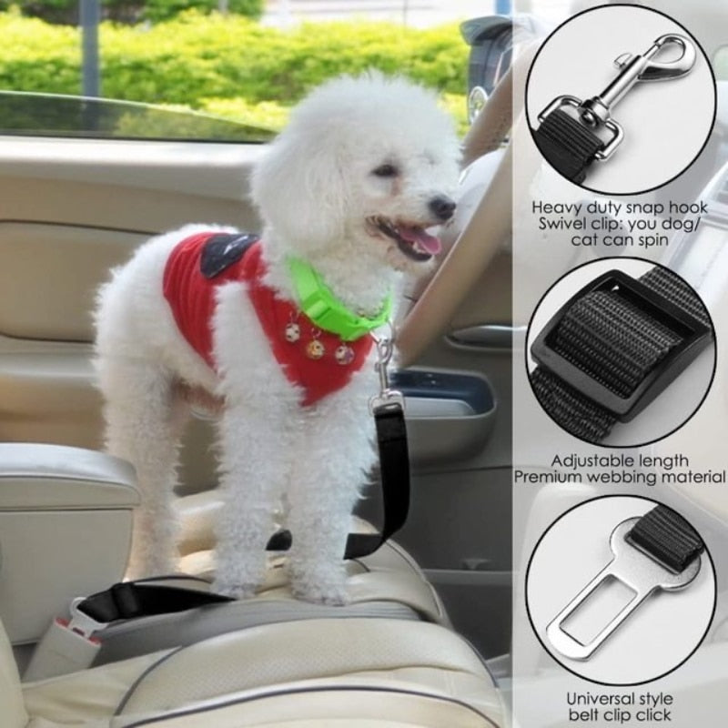 Dog Car Safety Belt
