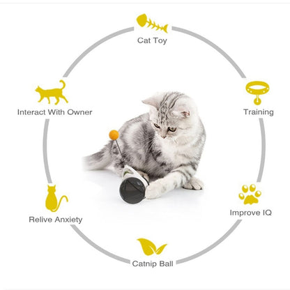 Purrfect Play Cat Tumbler