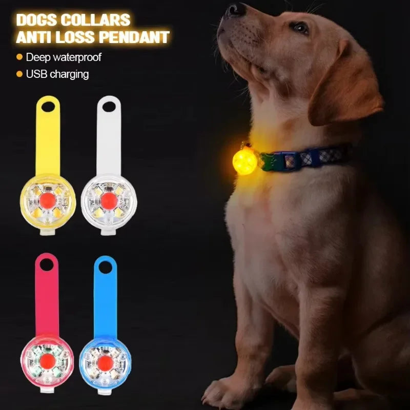 Weatherproof LED Pet Safety Collar