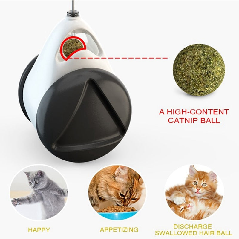 Purrfect Play Cat Tumbler