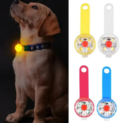Weatherproof LED Pet Safety Collar