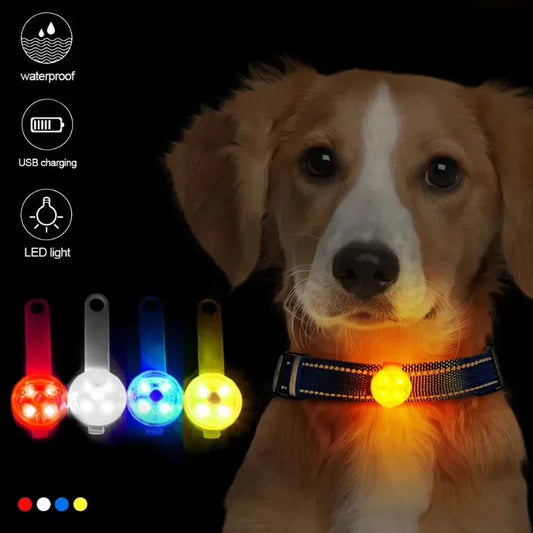 Weatherproof LED Pet Safety Collar