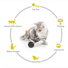 Load image into Gallery viewer, Cat Tumbler
