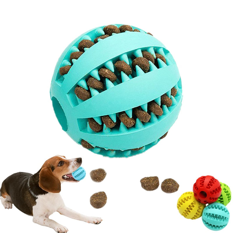 Chew Dog Ball