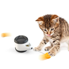 Load image into Gallery viewer, Cat Tumbler
